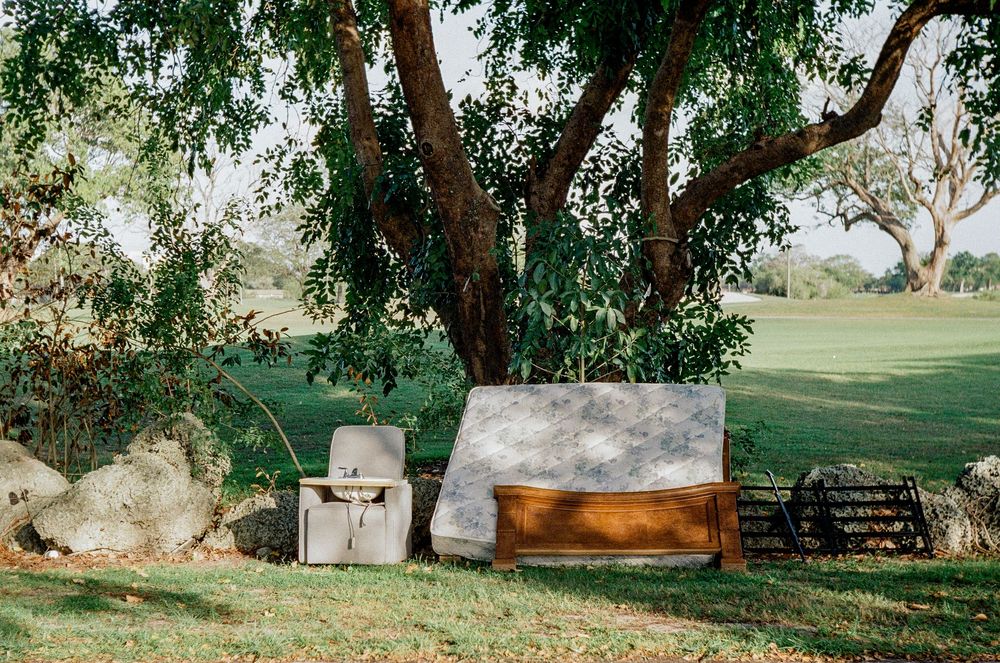 A rustic tent and furniture setup under a large tree on a green lawn at sunset.