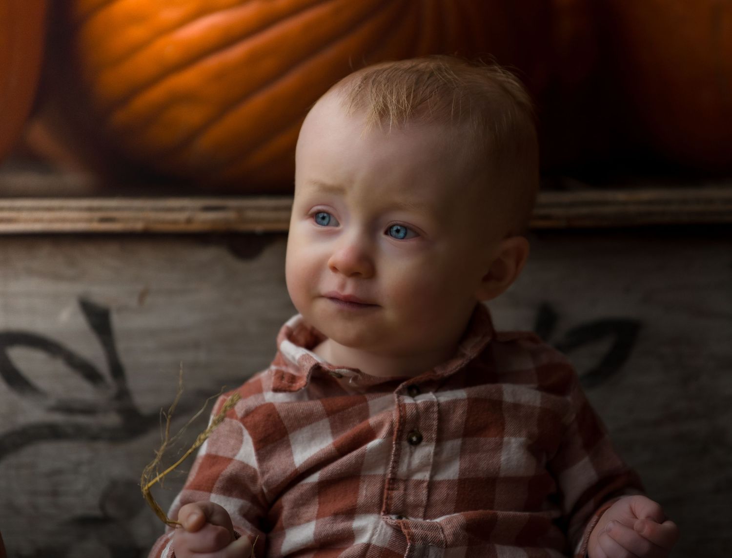 Adorable baby with red hair and blue eyes in a plaid shirt, with pumpkins in the background. Whidbey Island fall family session.
