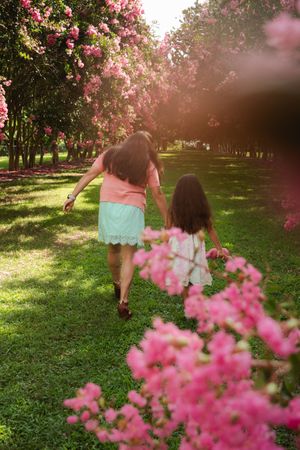 Two people walk together along a tree-lined path with blooming pink cherry blossoms in a sunlit spring garden.