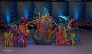 becky katzberg photography venue display of underwater scene at charity event