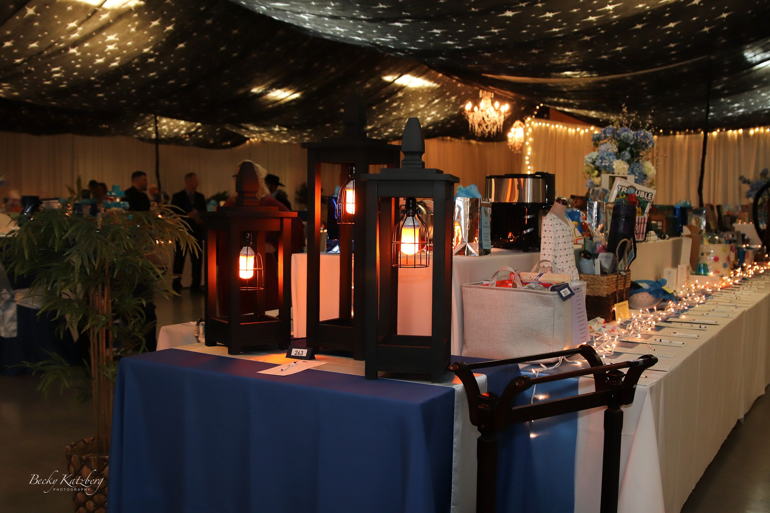 becky katzberg photography auction charity event
