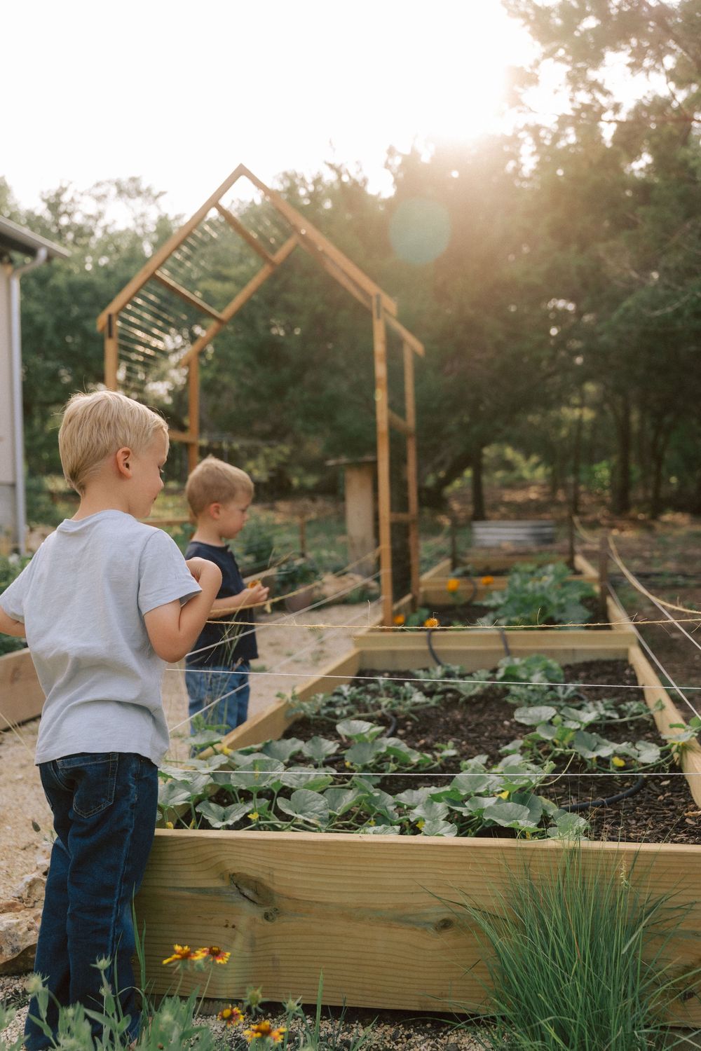 Two young children stand near raised garden beds with vegetables growing in them during golden hour sunset.