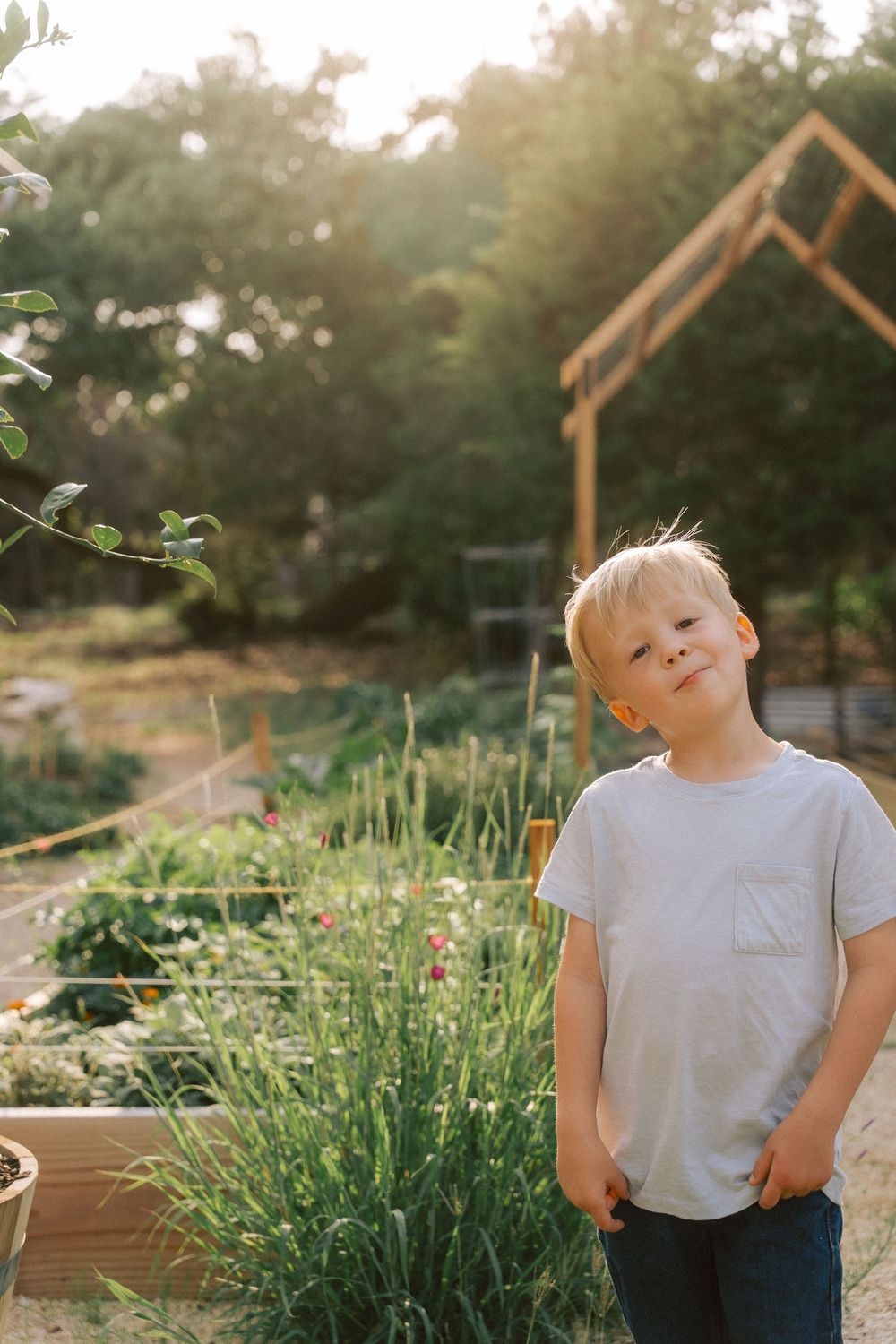 Young child stands in a lush garden wearing a gray t-shirt on a sunny afternoon with wooden raised beds visible.