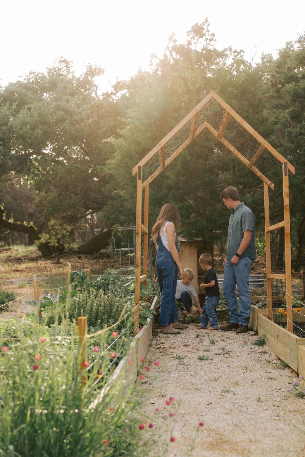 A sequence of photos showing people working in raised garden beds with wooden frame structures above them in an outdoor setting.