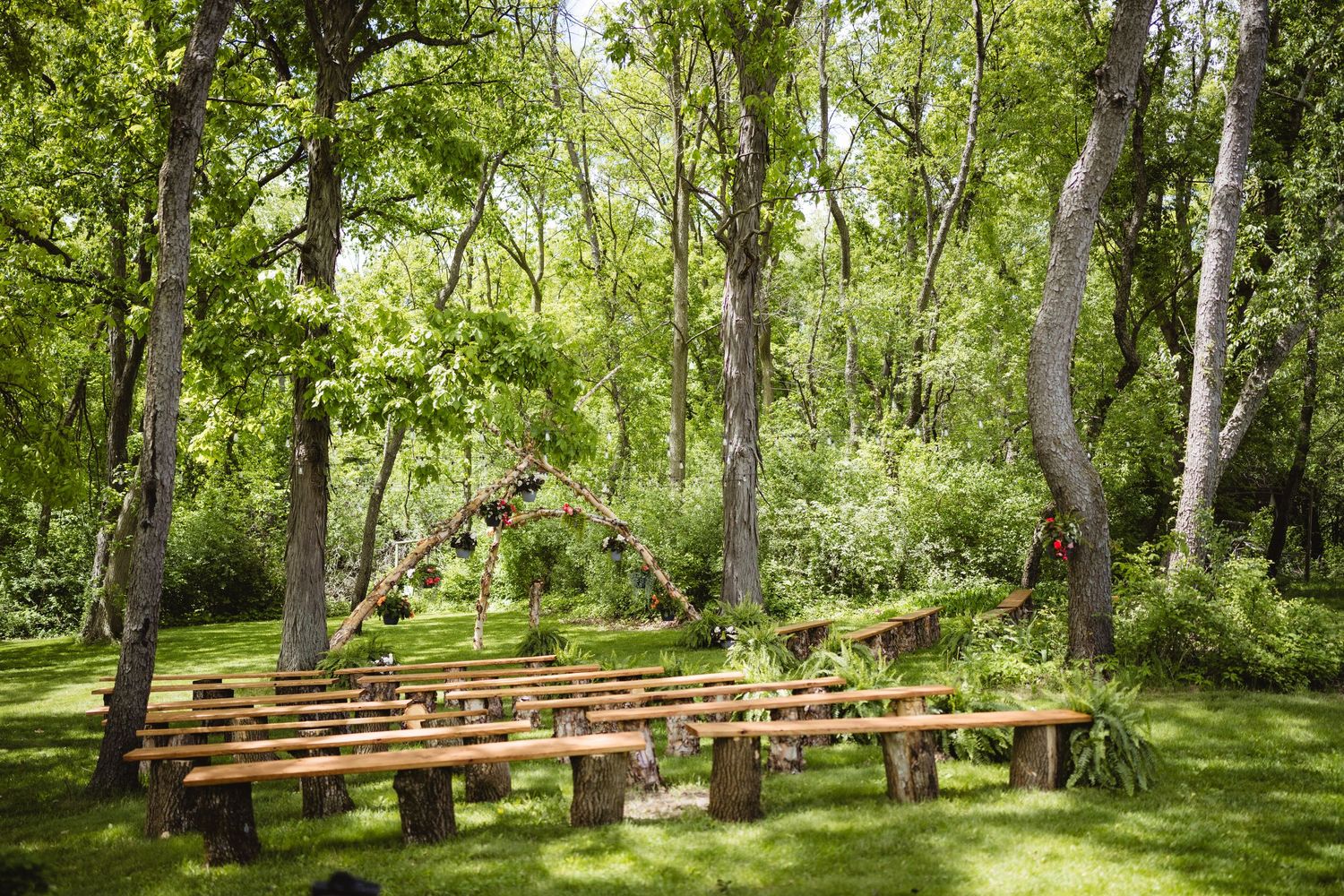 Wooden benches arranged in rows create an outdoor ceremony space in a sunlit forest grove with tall green trees.