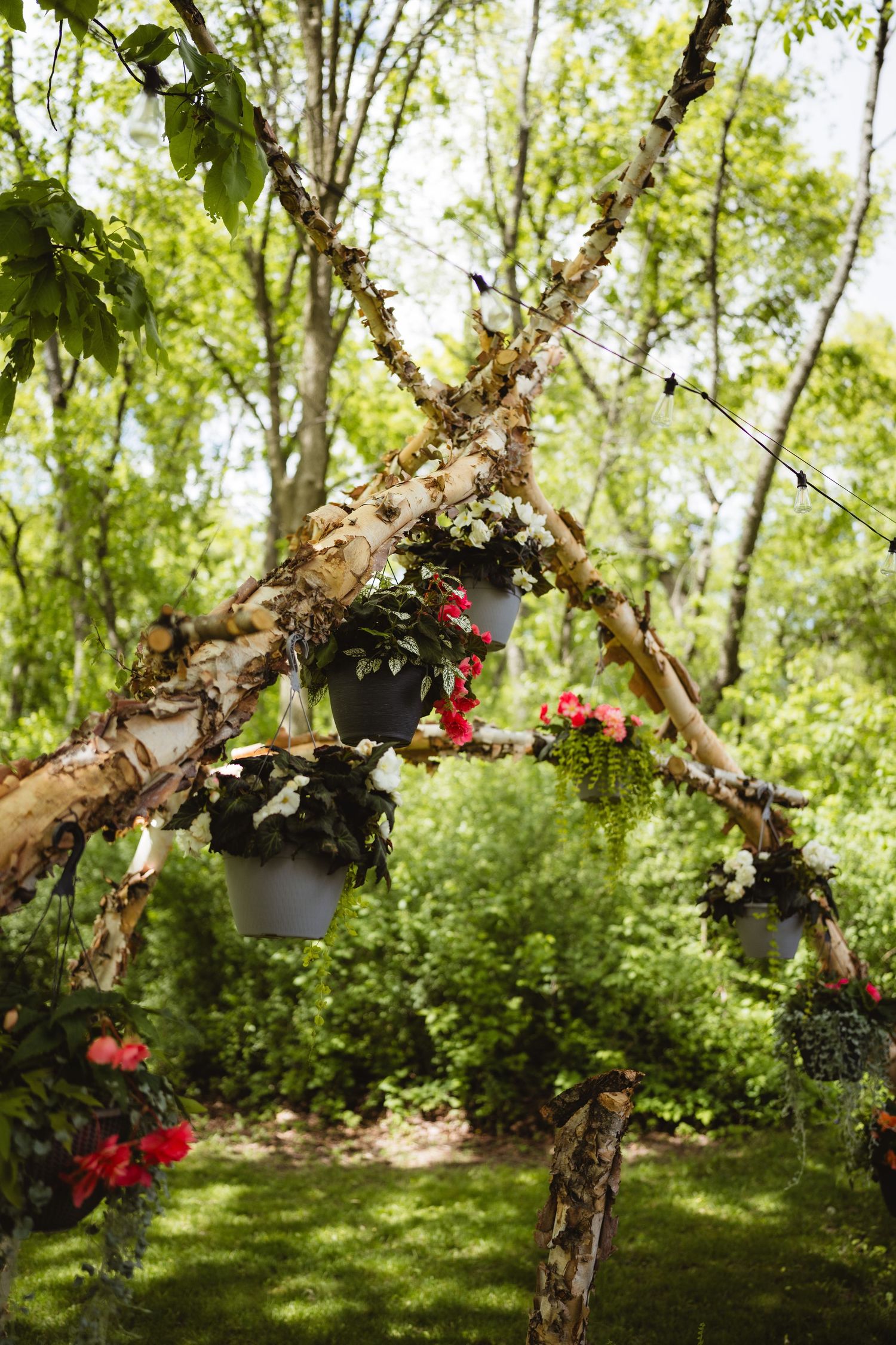 Rustic garden display with hanging flower pots on a curved tree branch against lush green foliage.