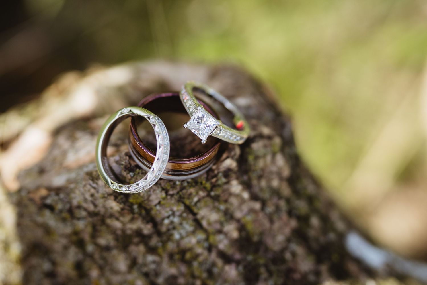 Wedding rings with diamond details photographed in macro on textured bark in natural outdoor lighting.