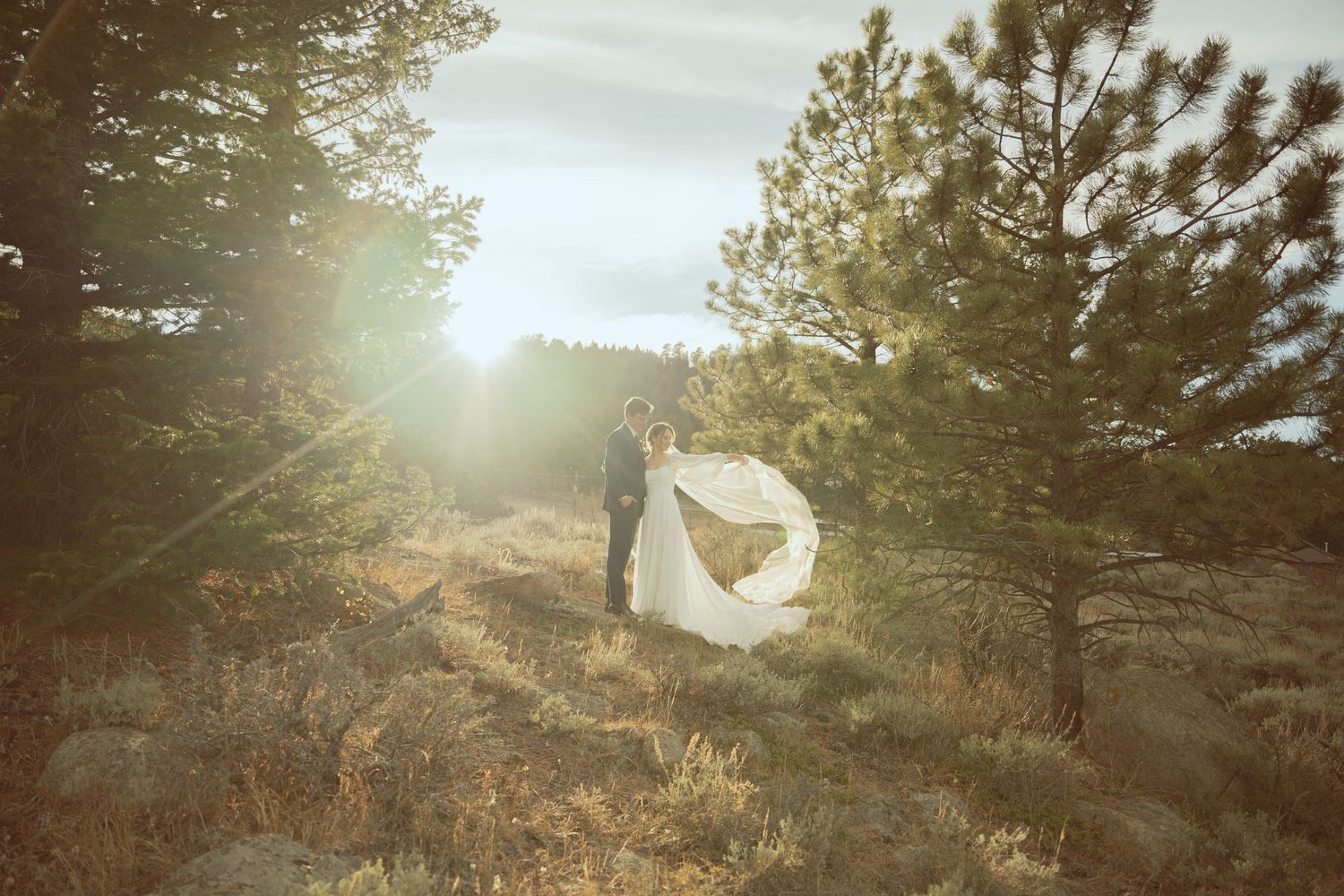 Golden sunlight streams through tall evergreen trees in a tranquil forest setting during sunset.
