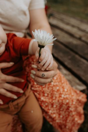 Close-up shot of hands holding a white daisy flower on weathered wood.