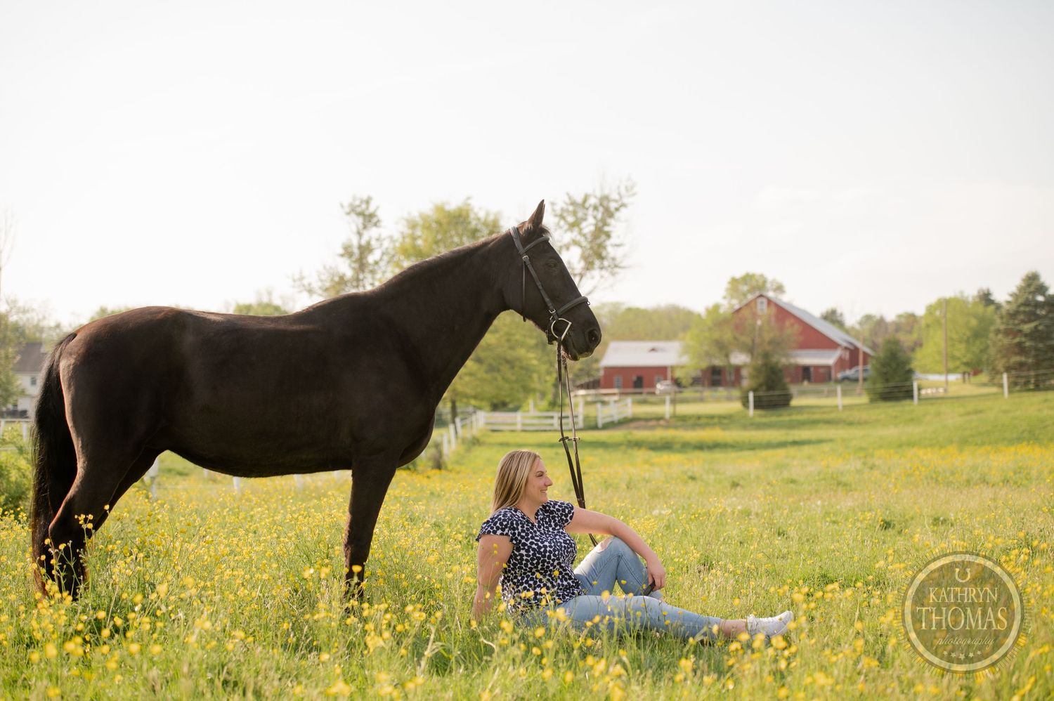 A peaceful scene of a dark horse standing in a wildflower field with a red barn in the background.