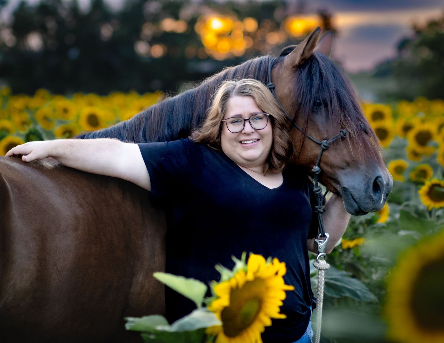A brown horse stands in a vibrant sunflower field at sunset with glowing golden light in the background.