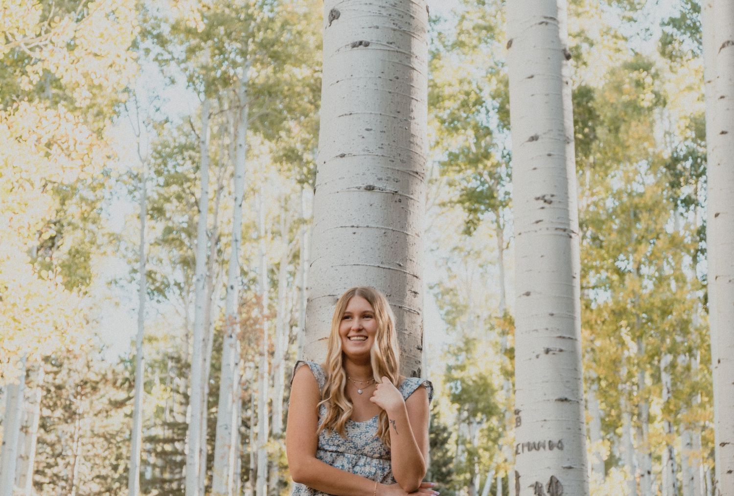 A woman in a floral dress poses among tall white aspen trees in a sunlit autumn forest.