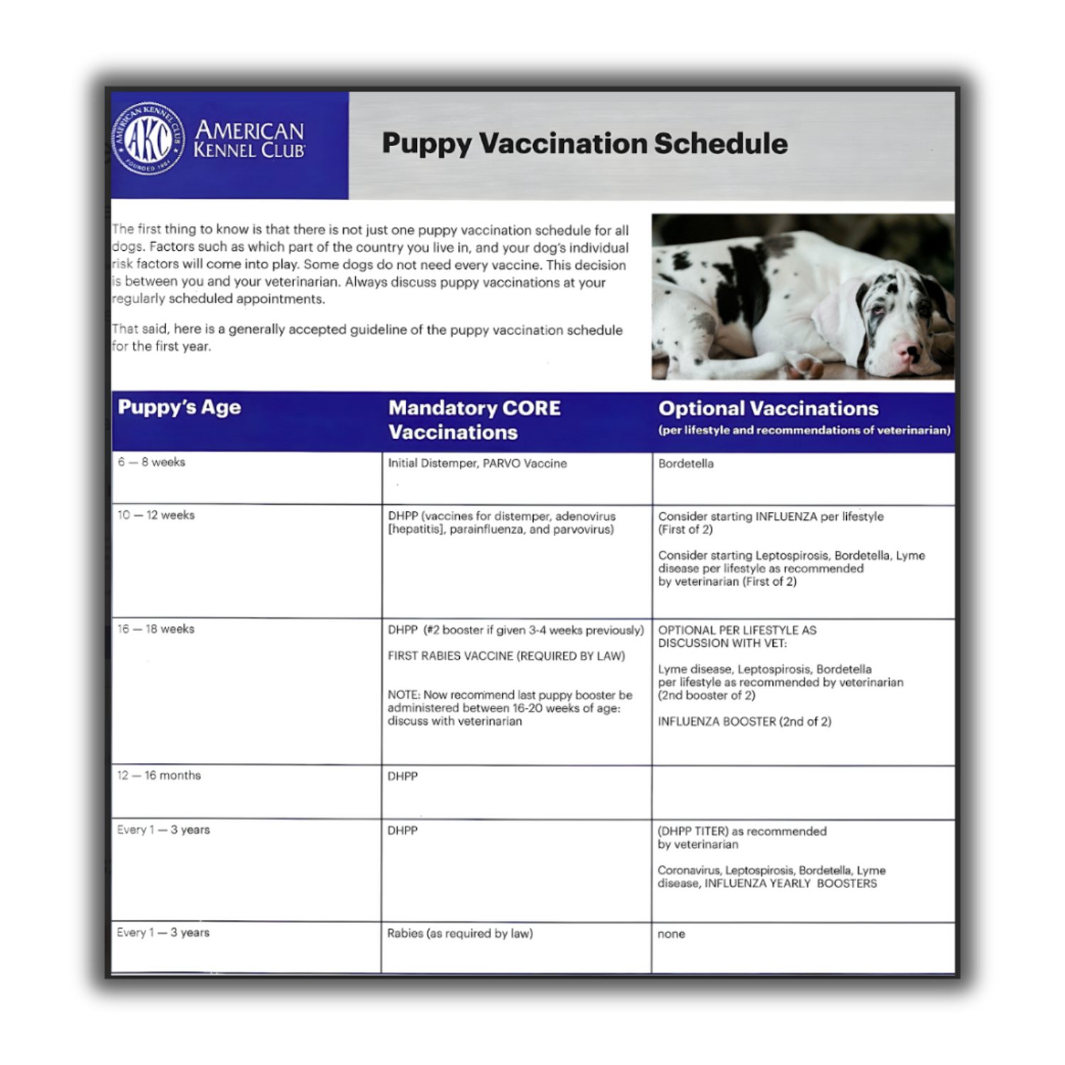 American Kennel Club puppy vaccination schedule chart showing mandatory and optional vaccines by age.
