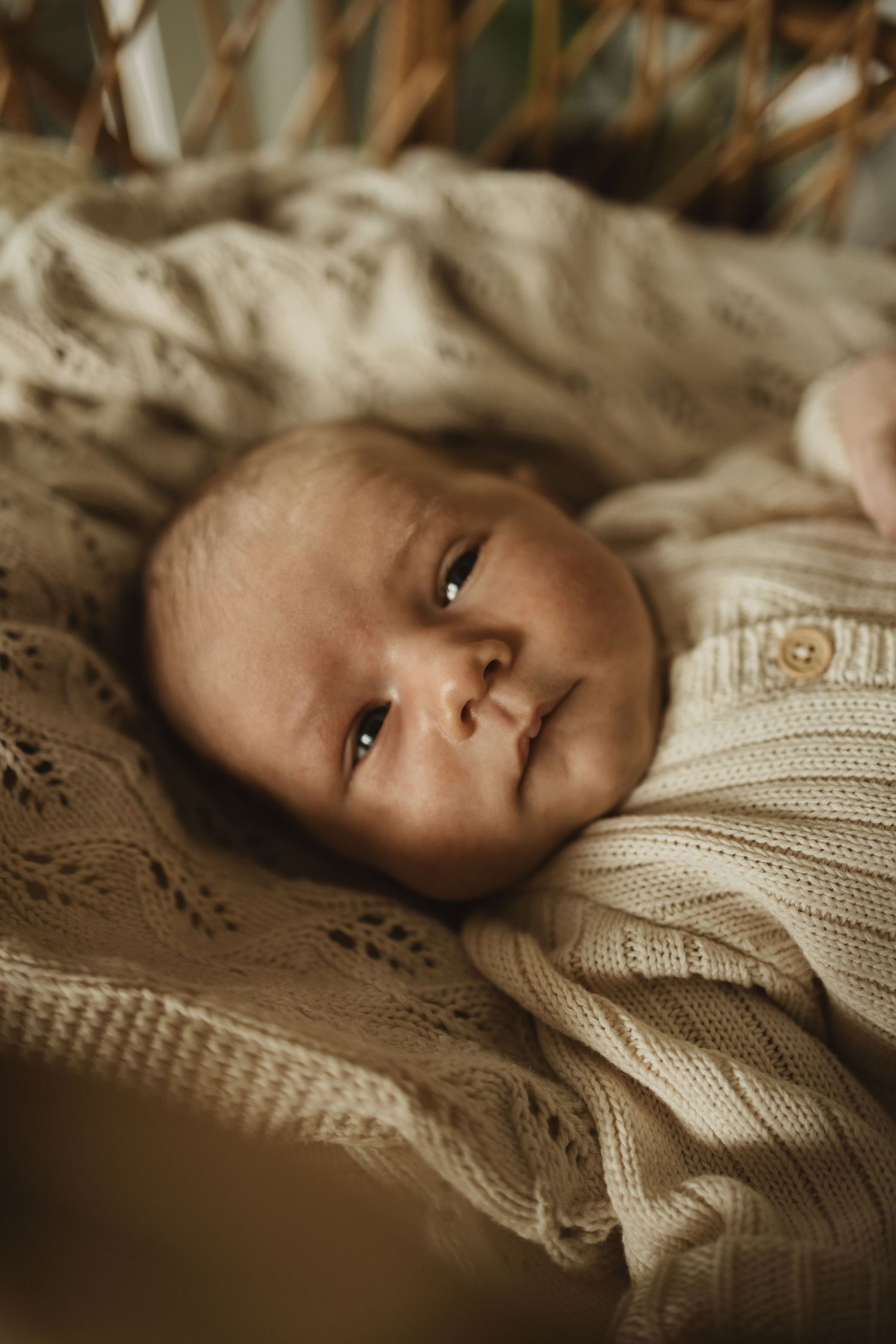 Geelong Lara Torquay Ocean Grove Barwon Heads newborn maternity pregnancy family motherhood couples photographer photography photoshoot