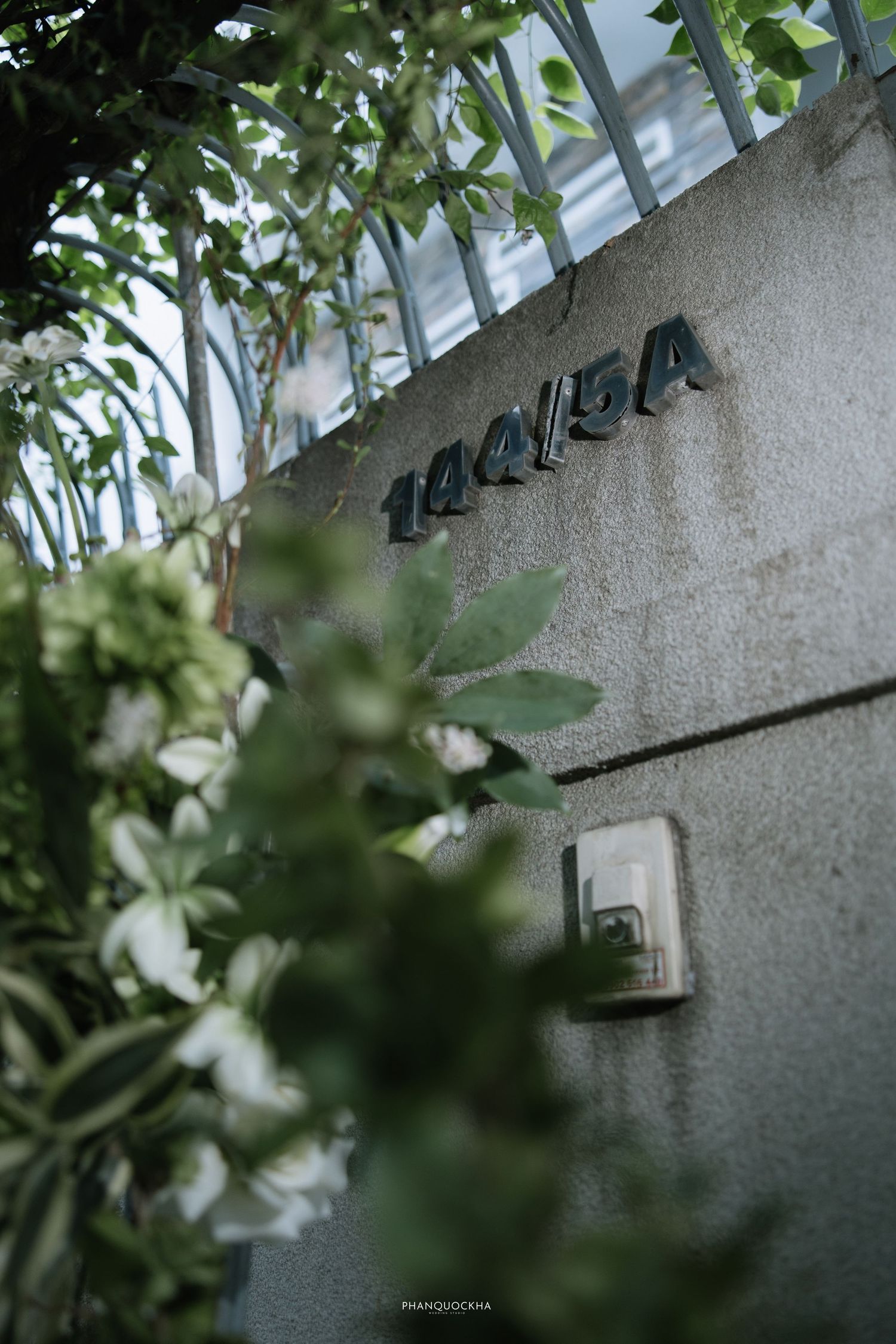 A concrete wall with address number 144/5A surrounded by lush green and white flowering plants.