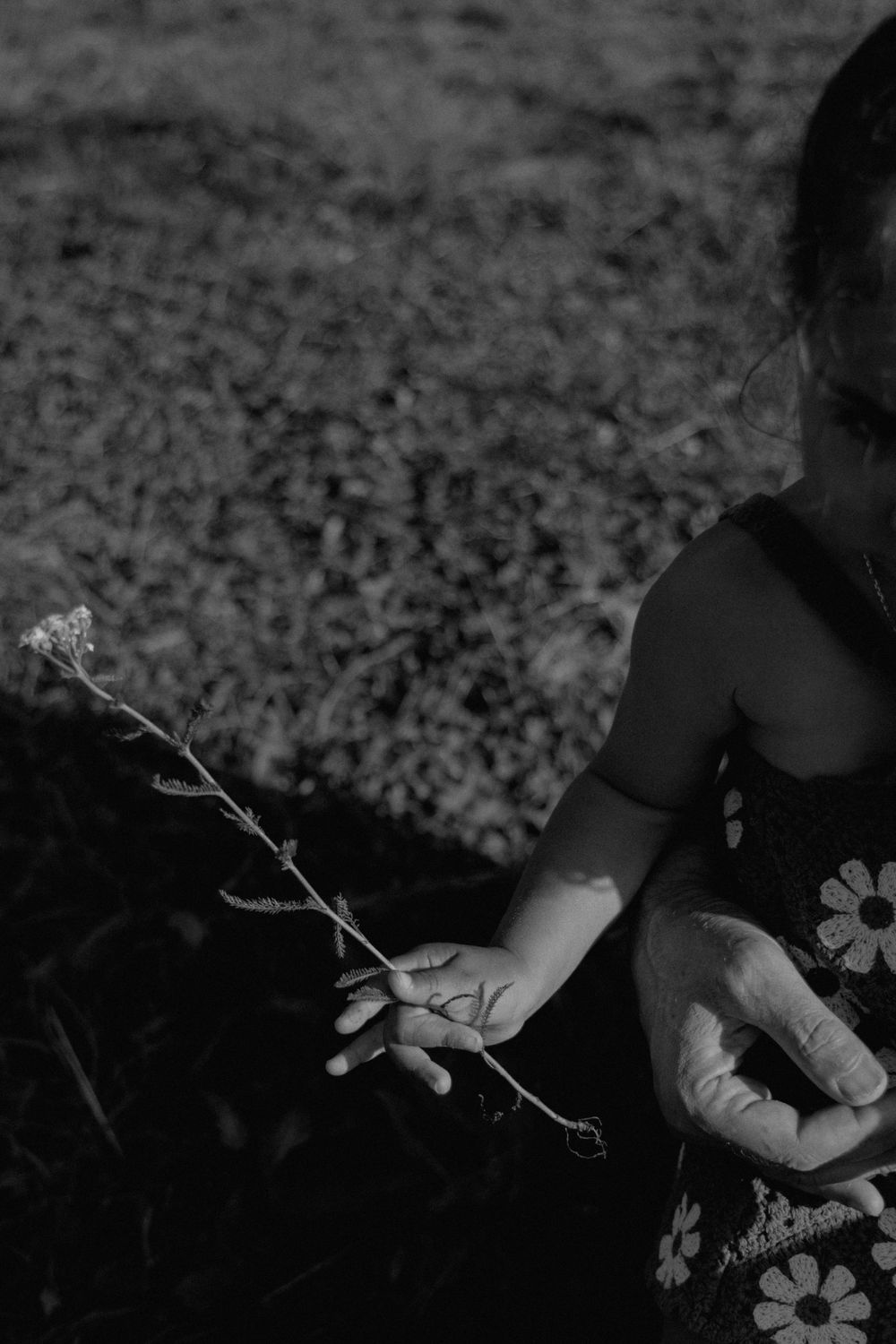 Petite fille tenant une fleur lors d'une séance photo famille en montagne aux Carroz.
