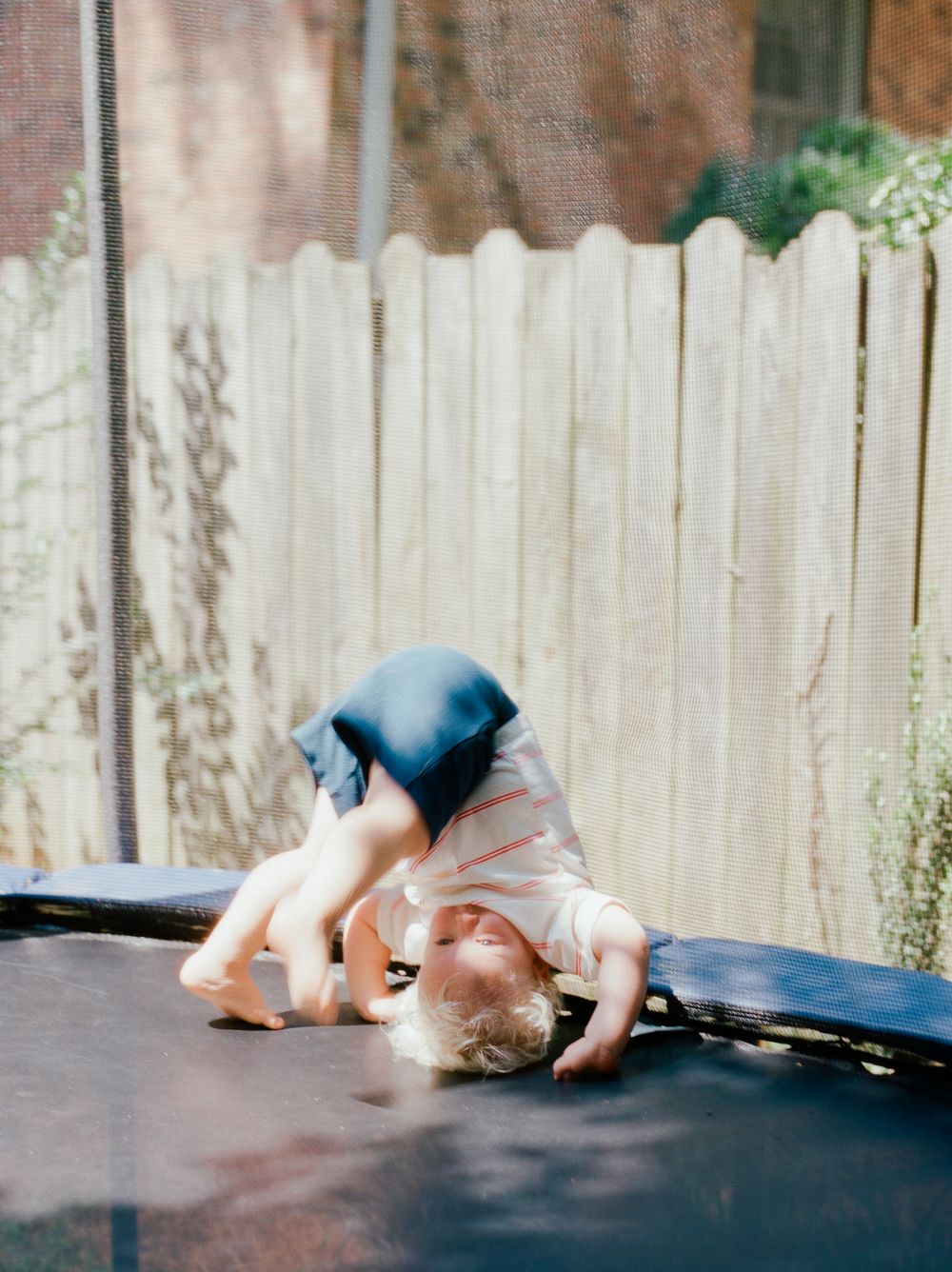 Child playing and bouncing on a black trampoline next to a white fence in a backyard.