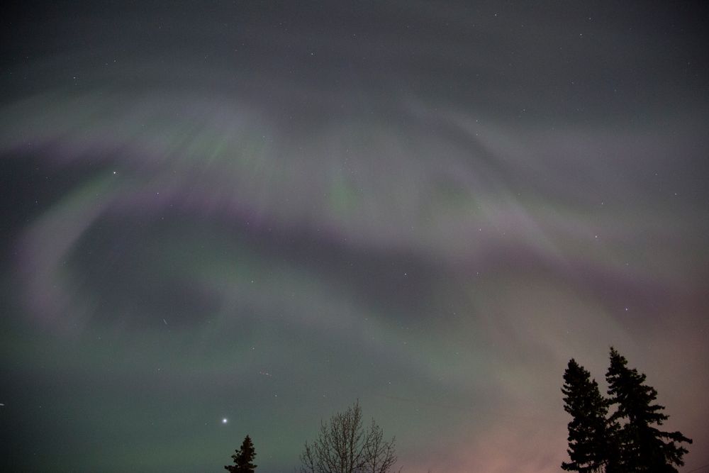 A series of Northern Lights photos showing vibrant green aurora borealis dancing across dark night skies over silhouetted trees.