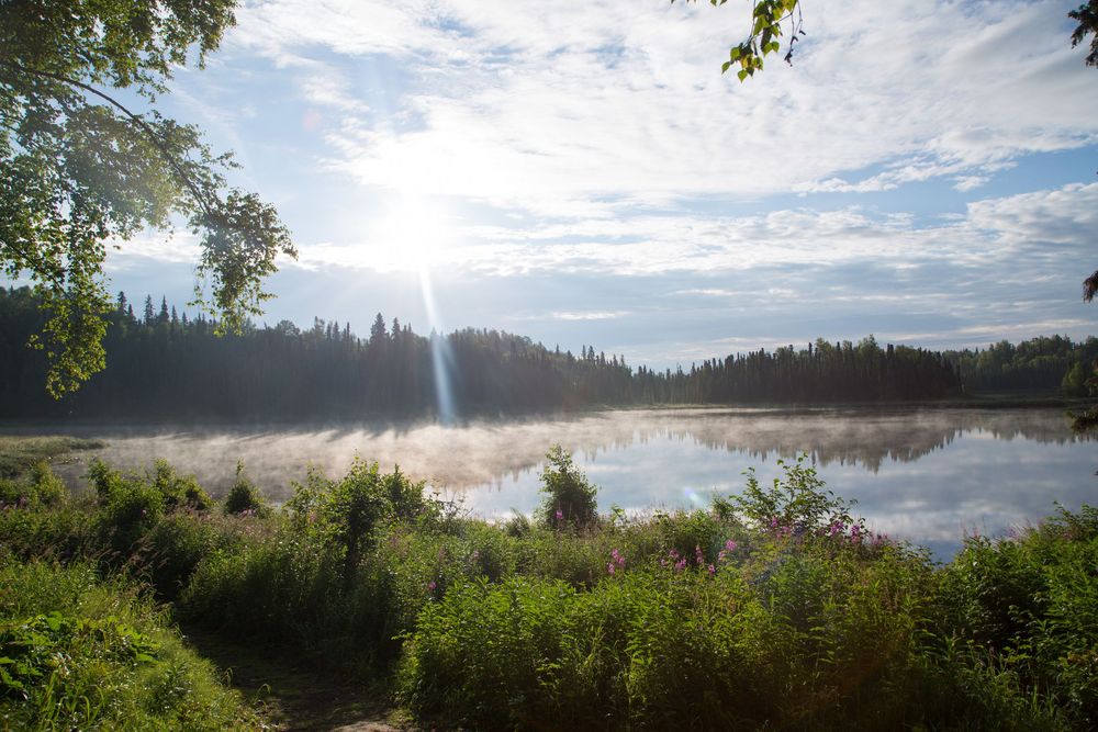 Panoramic series of misty lake scenes at sunrise with evergreen forests and cloudy skies reflecting on calm waters.