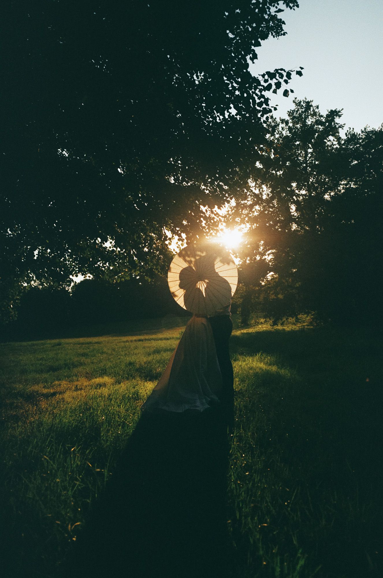 Silhouette of a couple embracing in a field during golden sunset with trees in background.