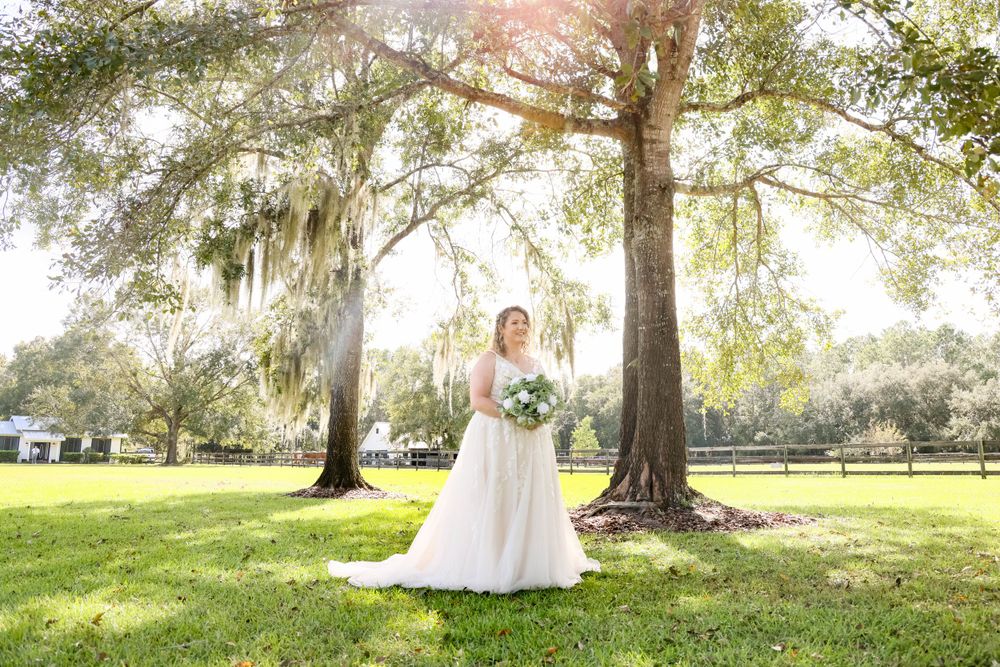 Wedding portrait under moss-draped oak trees in sunny outdoor setting.
