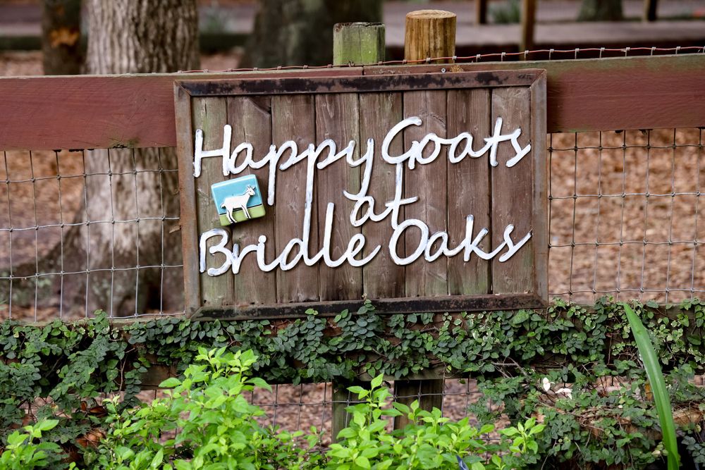 Rustic wooden sign reading 'Happy Goats at Bridle Oaks' mounted on a garden fence.