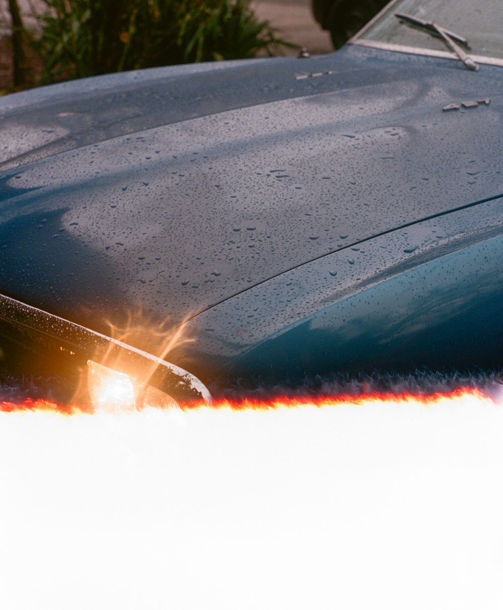 Abstract sunset reflection with light flares on a wet surface.