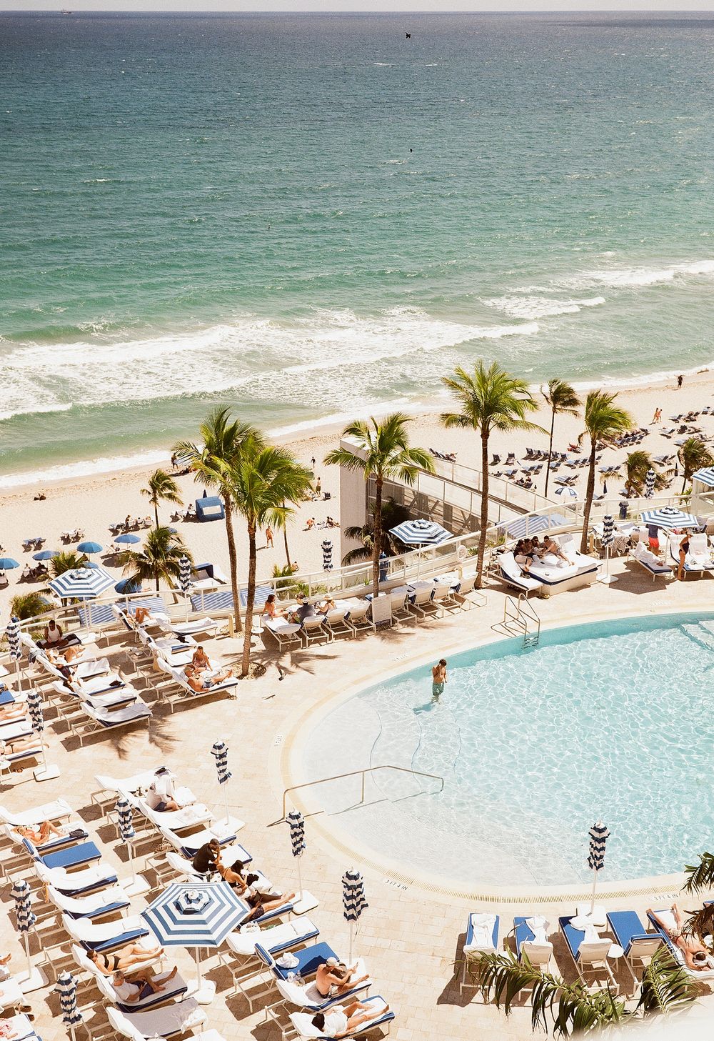Aerial view of luxury beachfront resort pool with palm trees and loungers overlooking turquoise ocean.