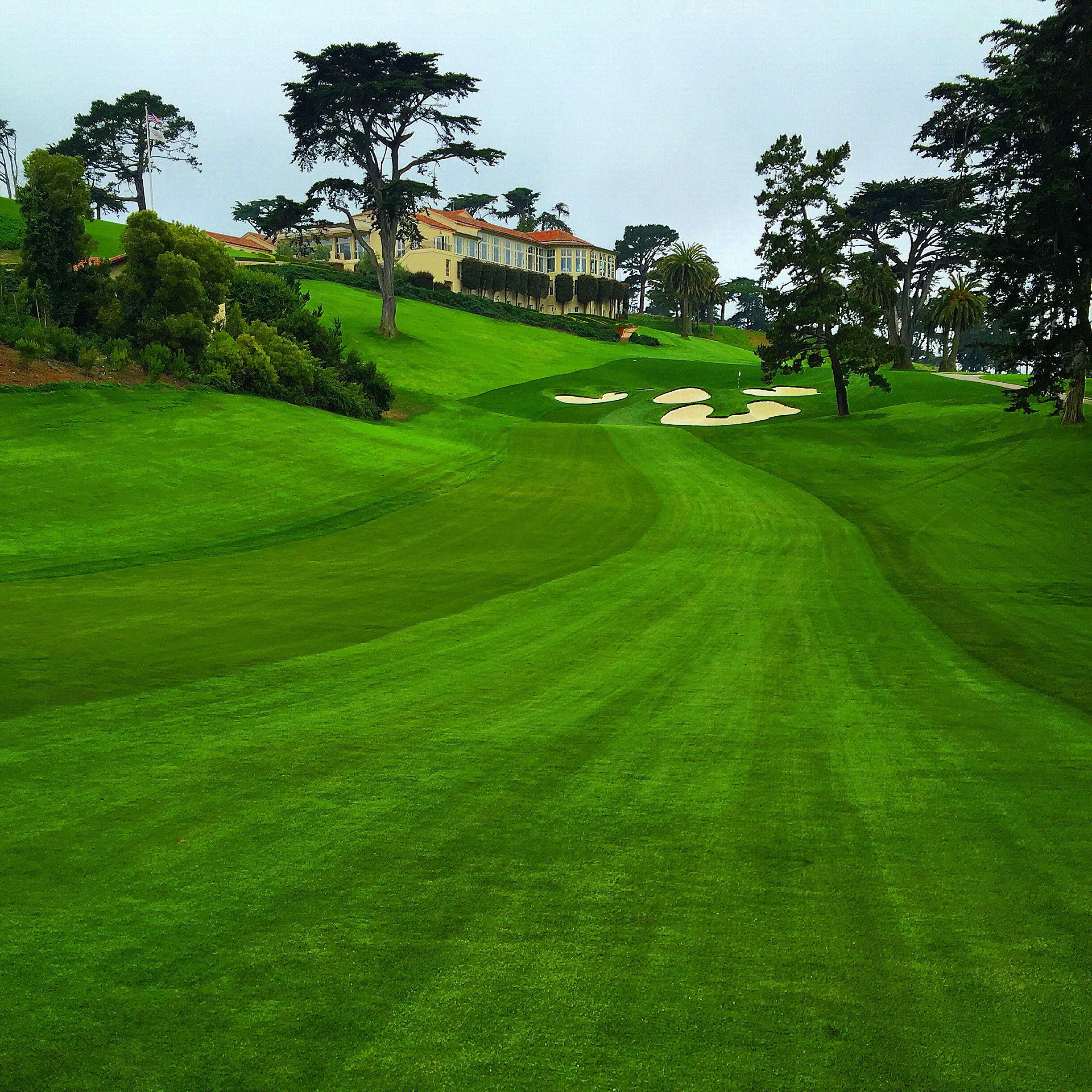California Collection - Olympic Club