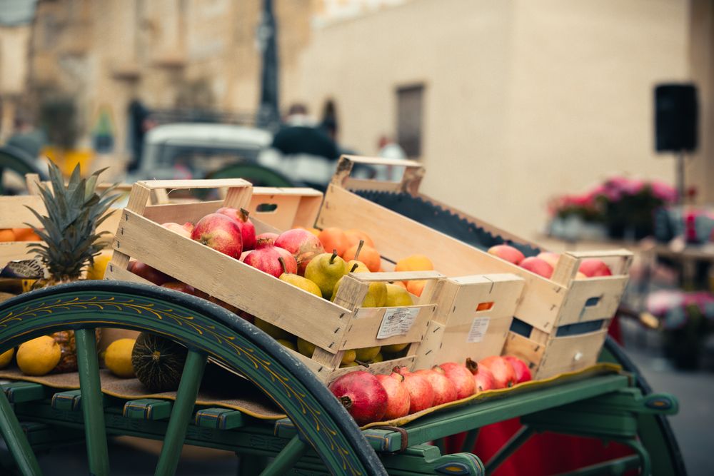 Fruit Festival 2025, Xewkija Gozo Malta