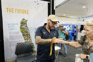 A person measuring something with a tape measure at an exhibition booth display.