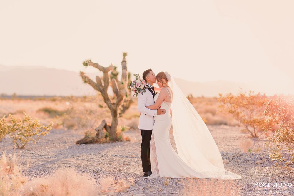 Silhouettes of a couple embracing in a desert setting during sunset with cacti in the background.