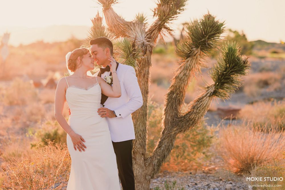 Desert wedding photography session with Joshua trees and warm sunset lighting.