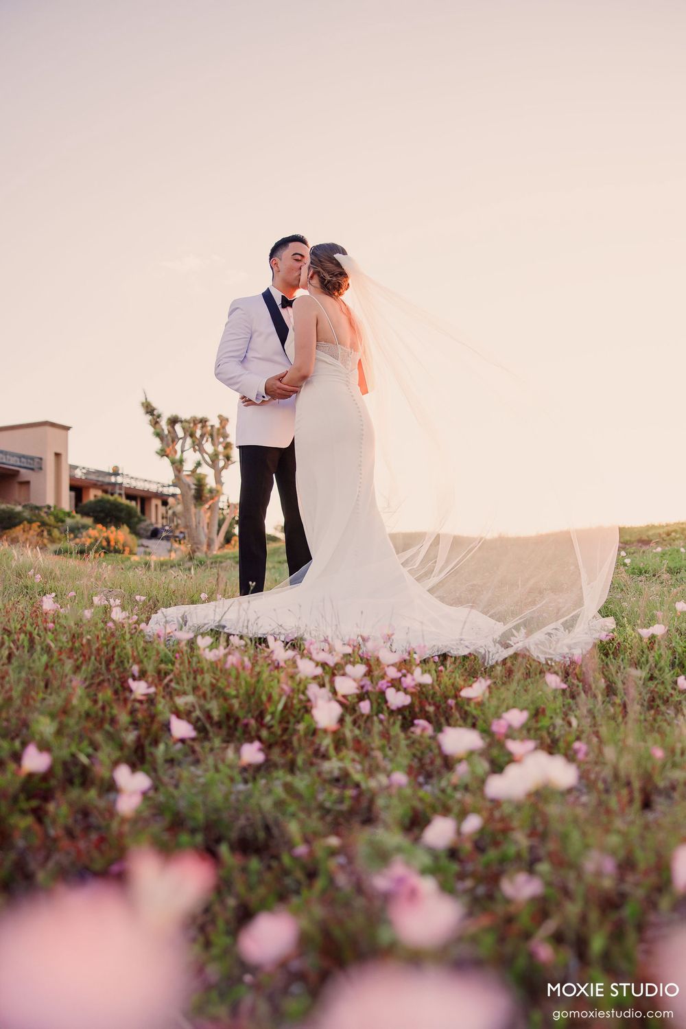Wedding couple poses in a blooming meadow at sunset with soft pink flowers in the foreground.