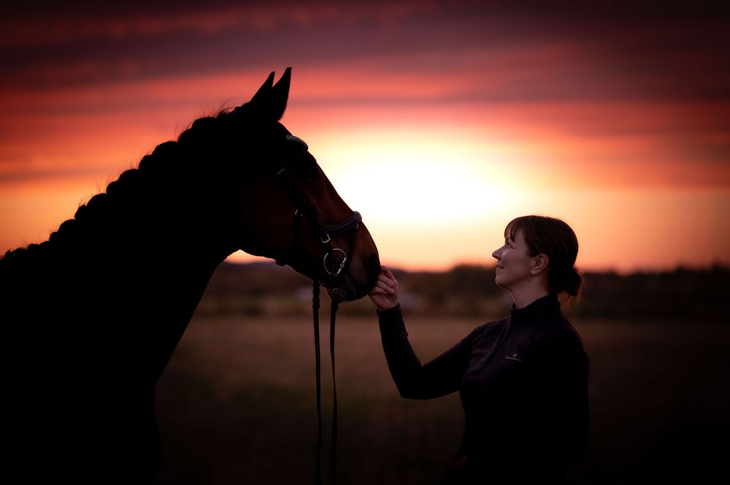 Porträttfoto av en kvinna och hennes häst i solnedgång i magisk utomhusmiljö.
Porträttfotograf: Josefina Nordström "Josefina Fotografen