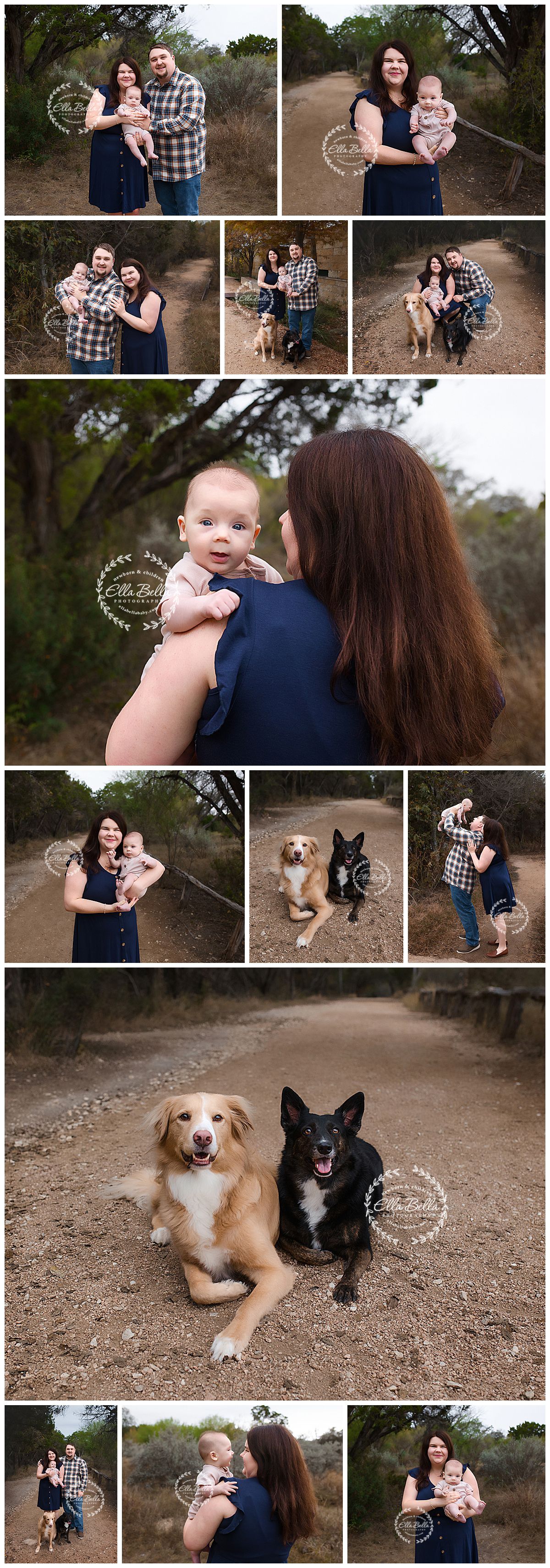 A family photoshoot in a wooded park with two dogs, a golden retriever and black border collie, on a dirt path.