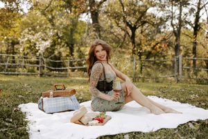 Rustic picnic scene with checkered blanket and woven basket in golden autumn light.