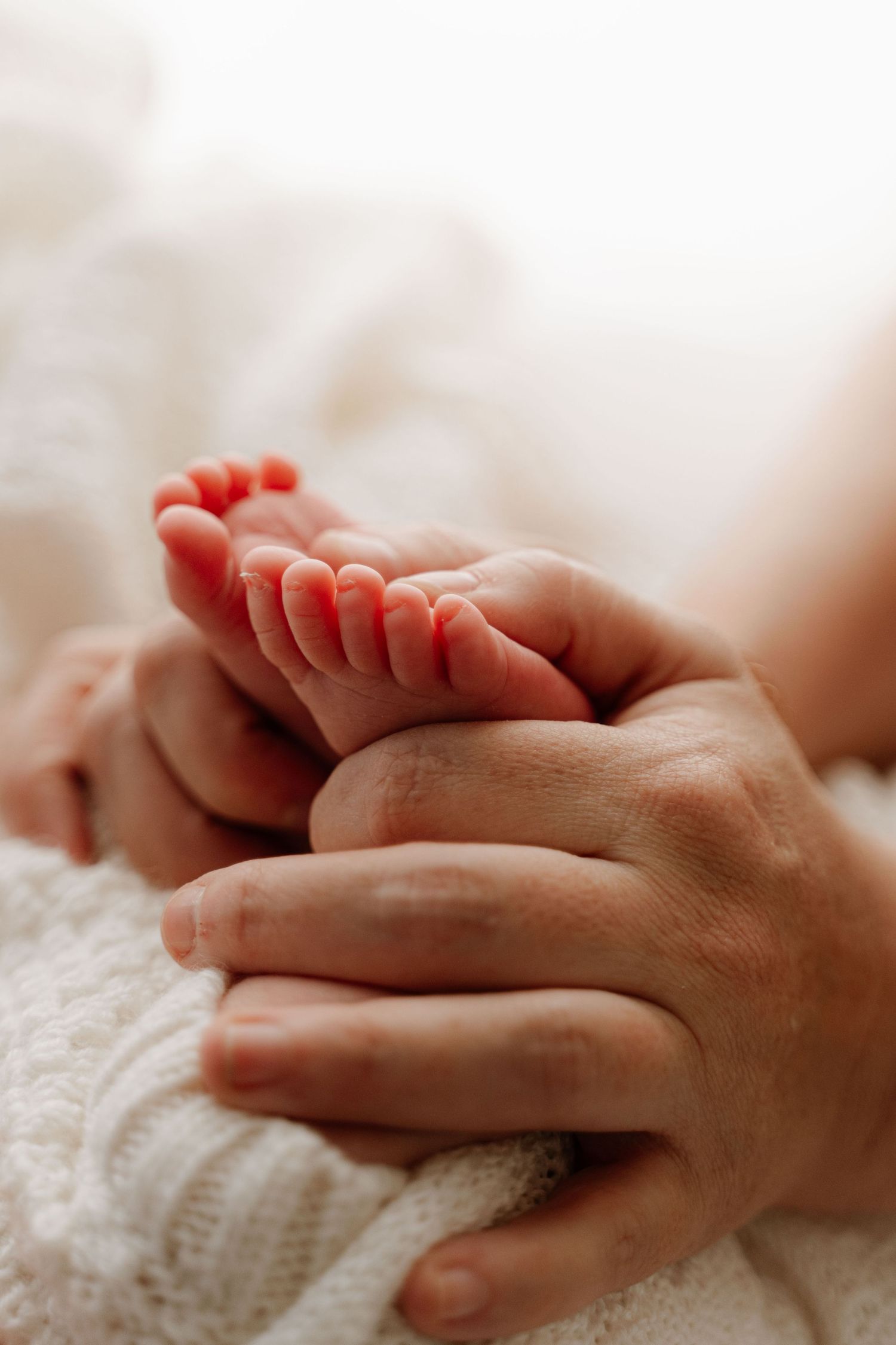 Close-up of tiny newborn baby feet cradled gently in adult hands on white fabric.