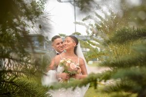 Artistic wedding portrait through pine branches with soft focus effect.