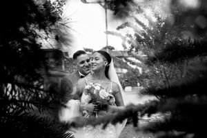 Artistic black and white wedding photography through tree branches creating a dreamy effect.