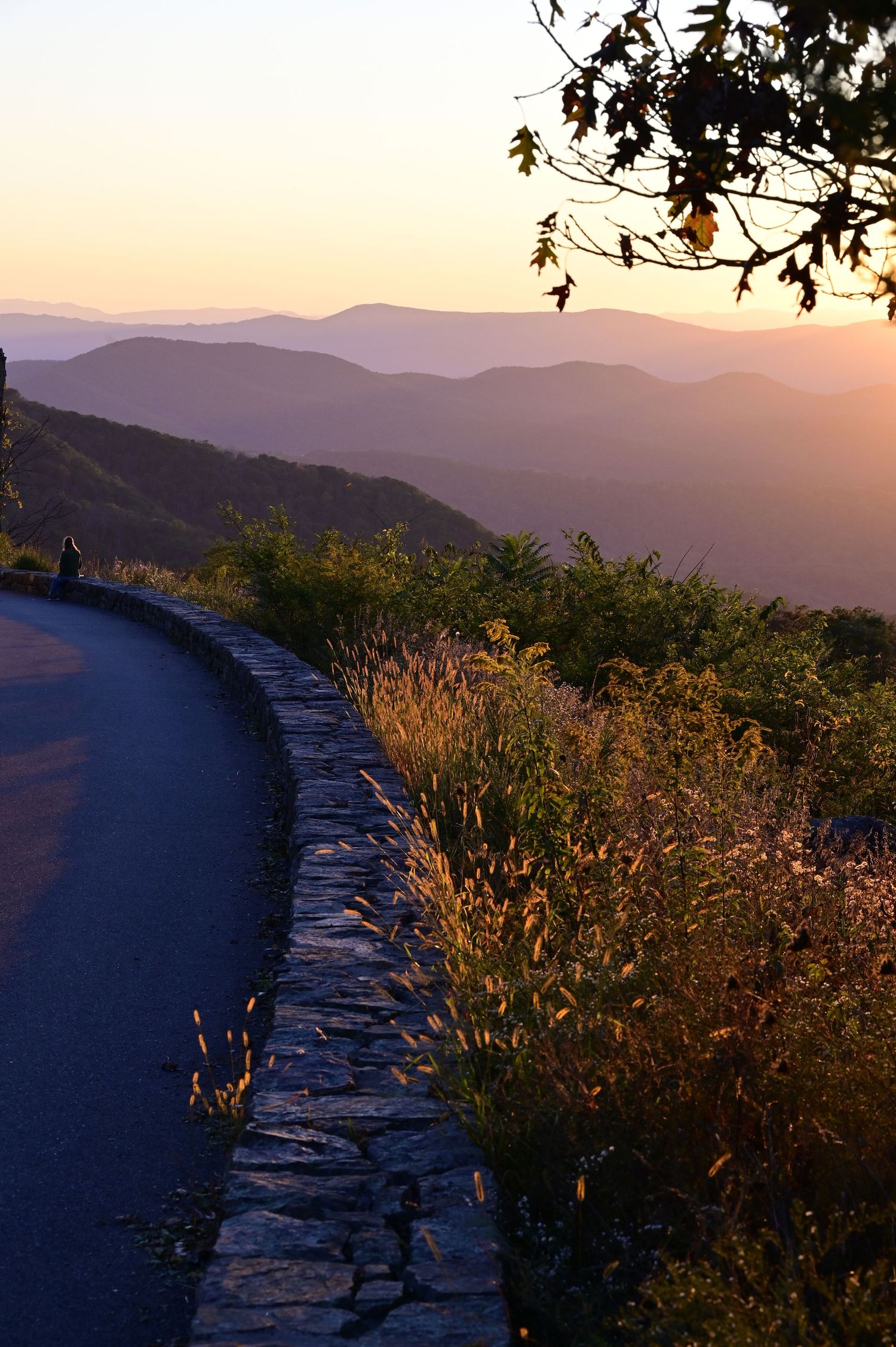 Late afternoon sunlight across Skyline Drive Shenandoah National Park