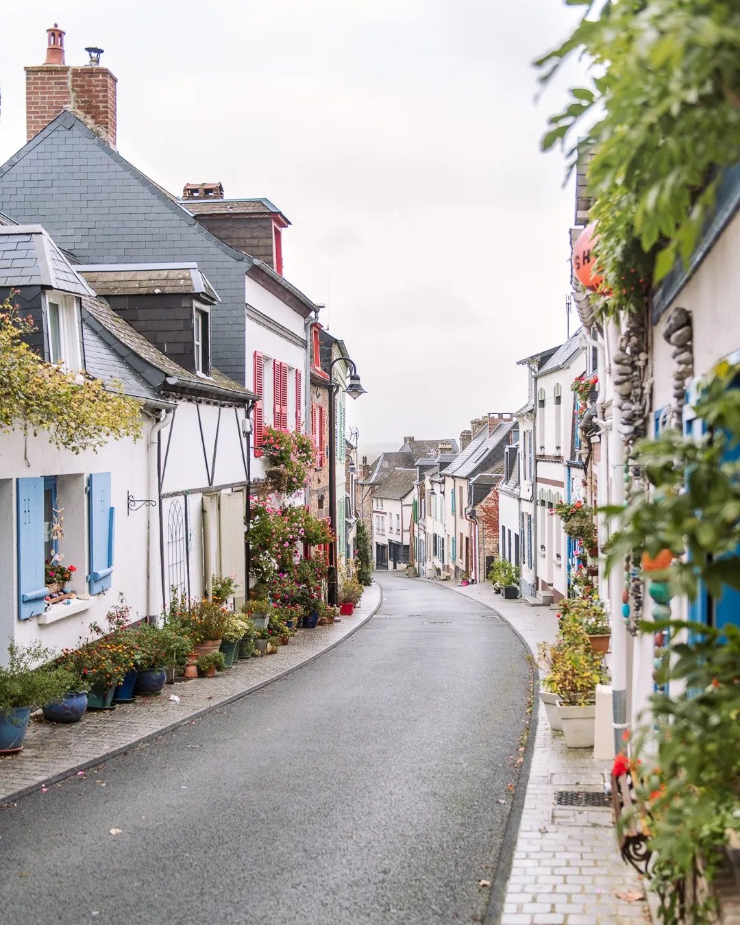 Charming village street lined with pastel houses, flowers and greenery on a quiet day.