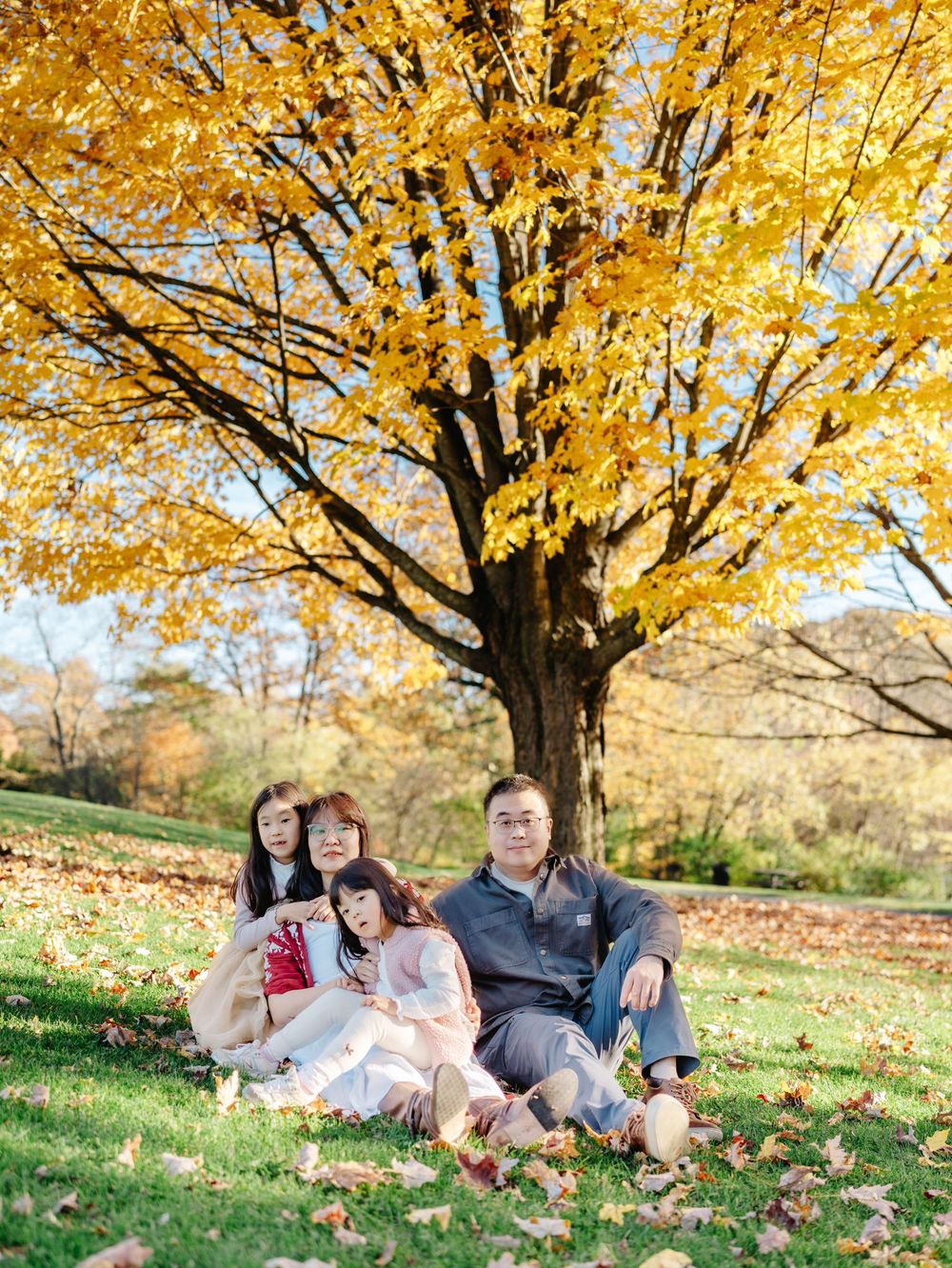 A family enjoys a warm autumn day under golden maple trees in the Larz Anderson Park in Brookline.