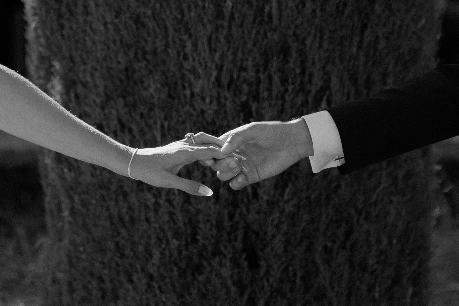 Wedding party and guests celebrate with raised hands against a backdrop of cypress trees and mountains.
