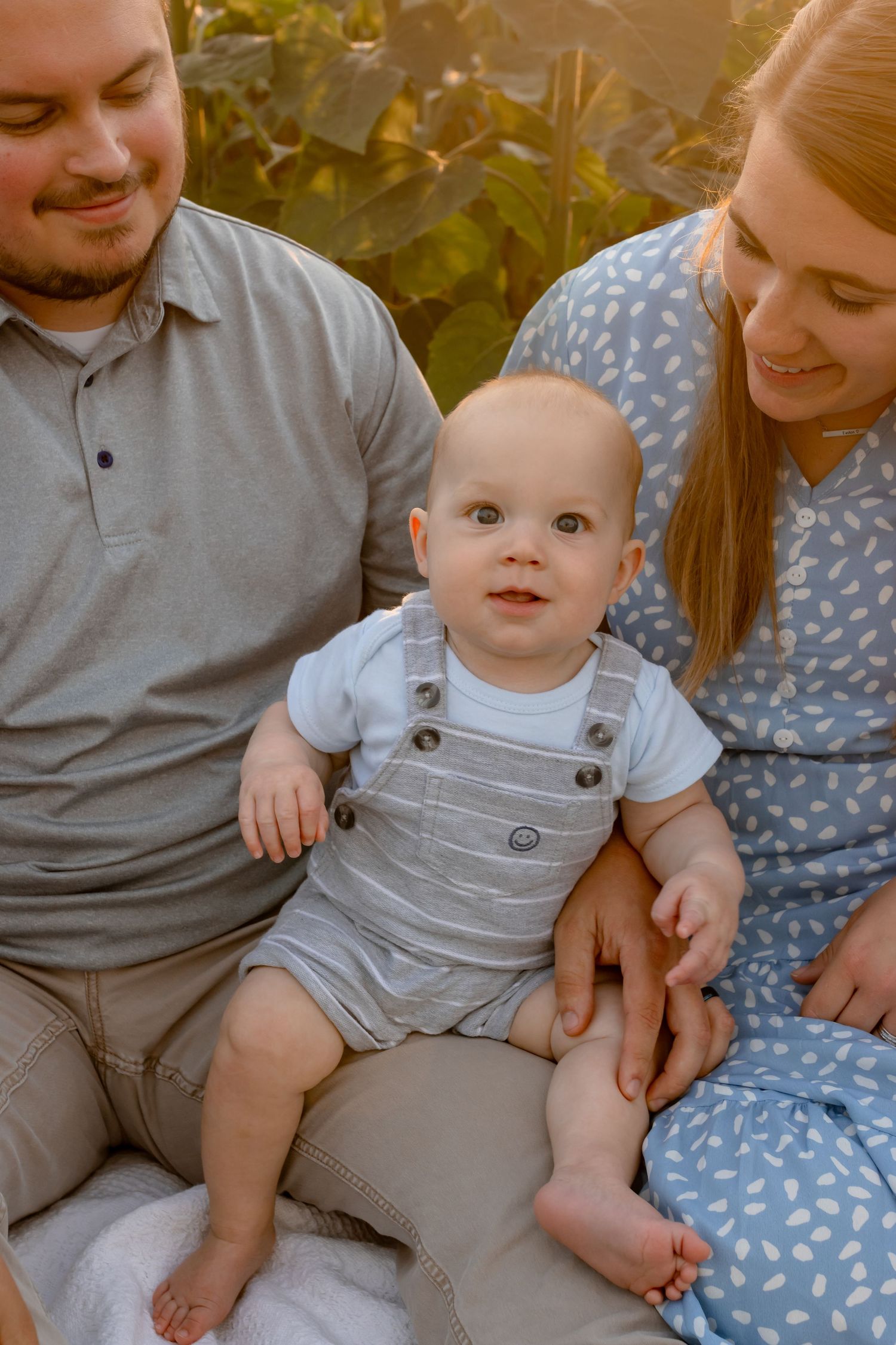 Family photography in sunflower fields