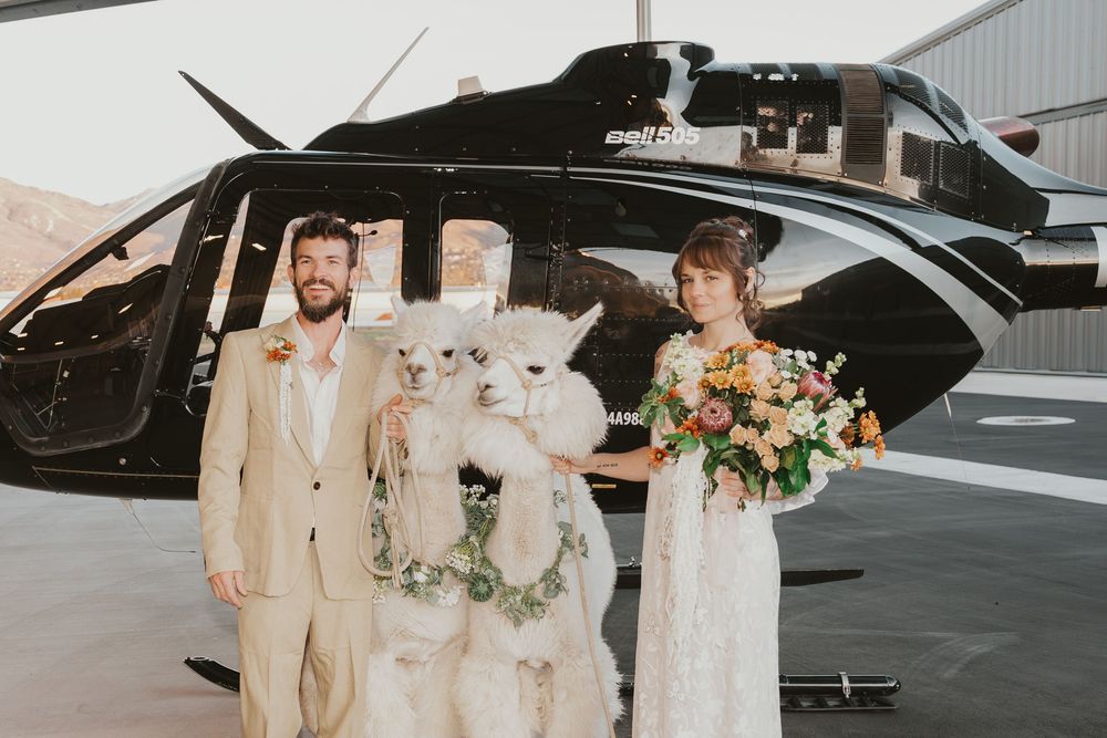 Bridal couple beside 2 white alpacas wearing floral collars, standing in front of a black helicopter