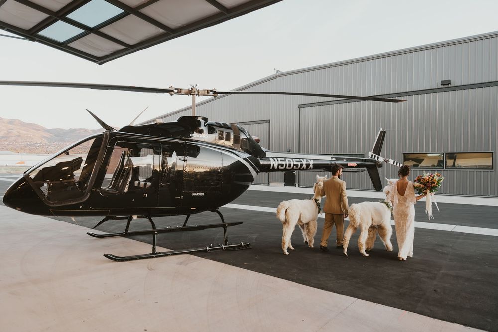 Bridal couple walking away from camera with 2 white alpacas. Bride is holding large autumn bouquet. Helicopter in background at hangar.