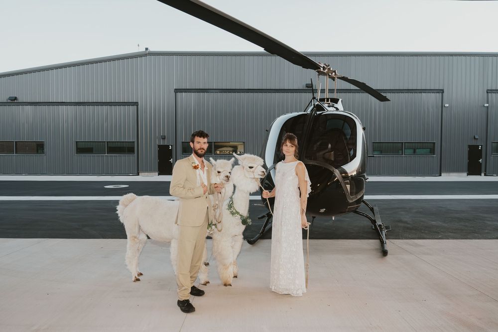 Bride and groom stand in front of a black helicopter at hangar holding on to 2 white alpacas with greenery collars.