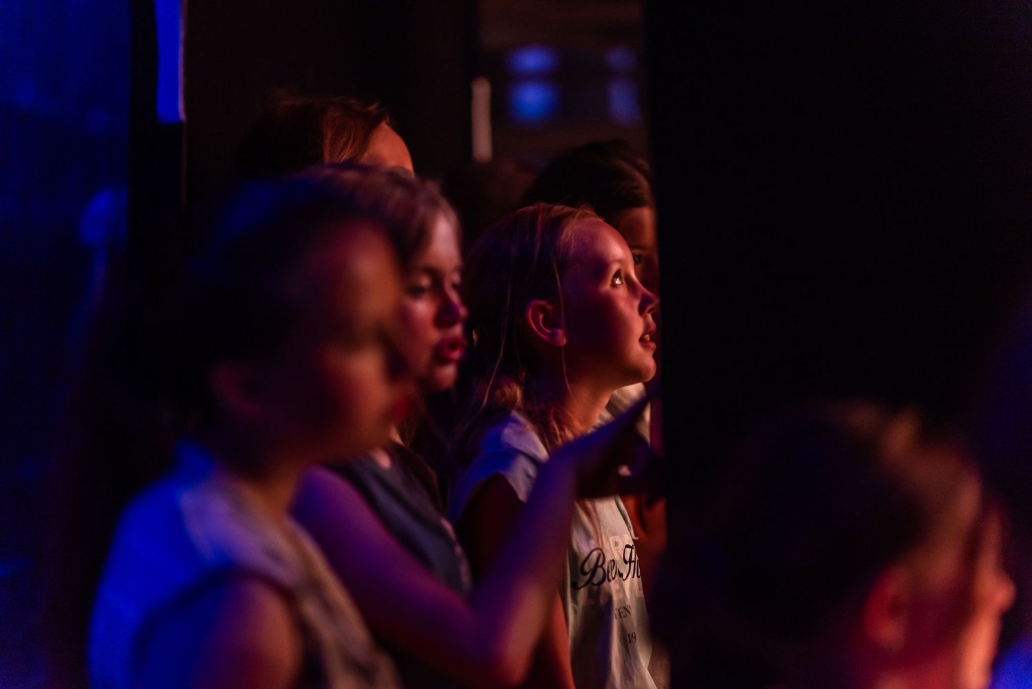 Concert audience watching a performance under blue theatrical lighting.