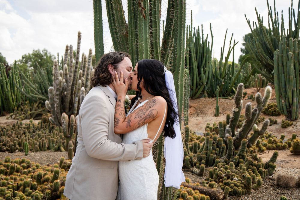 Wedding photography sequence in a desert garden surrounded by tall cacti.